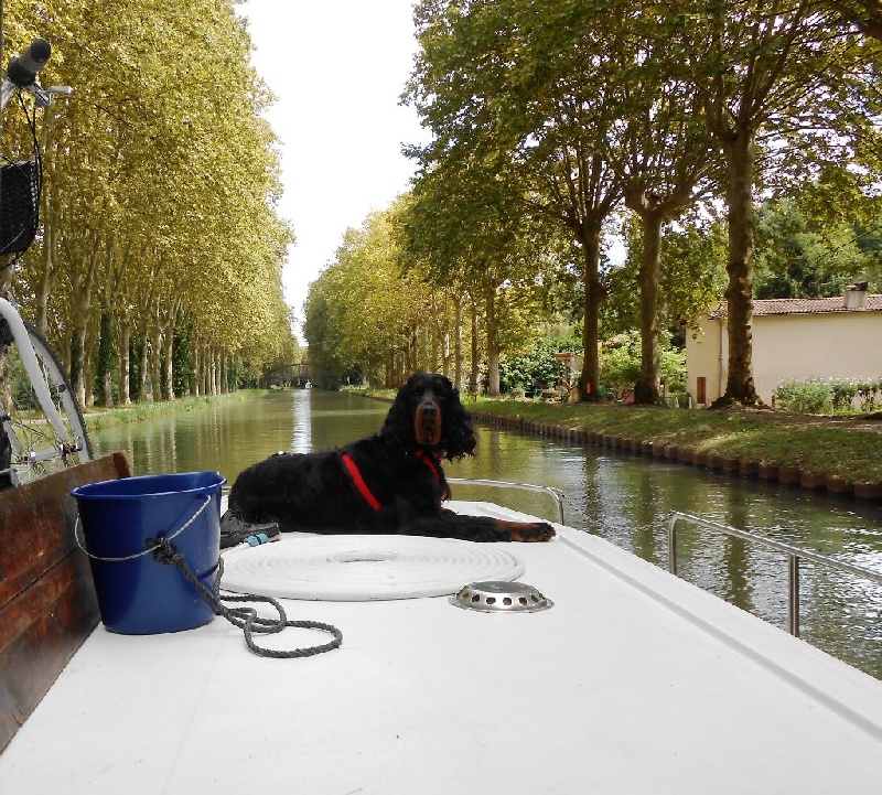 MES GORDON EN VACANCES