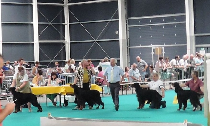 MES GORDON ET LES EXPOSITIONS